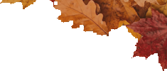 ikona